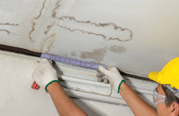 Reliable Mold Remediation contractor in Hanson, MA by Local Water Damage Repair
